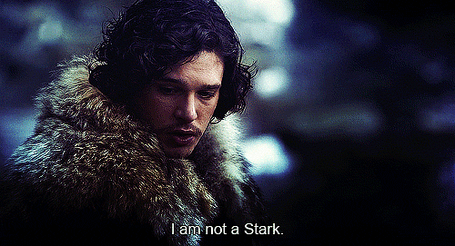 Not A Stark